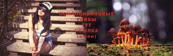 СК Алексеевка