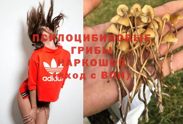 стафф Баксан