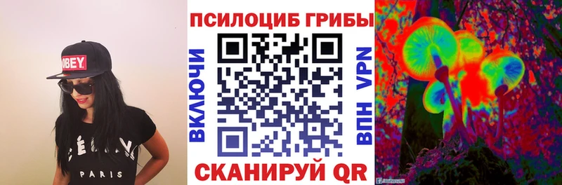 Купить  Славск  Псилоцибиновые грибы Psilocybine cubensis 